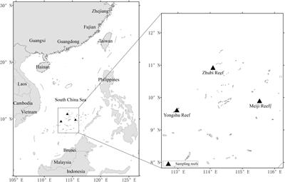 Assessment of Coral Reef Fish Stocks From the Nansha Islands, South China Sea, Using Length-Based Bayesian Biomass Estimation
